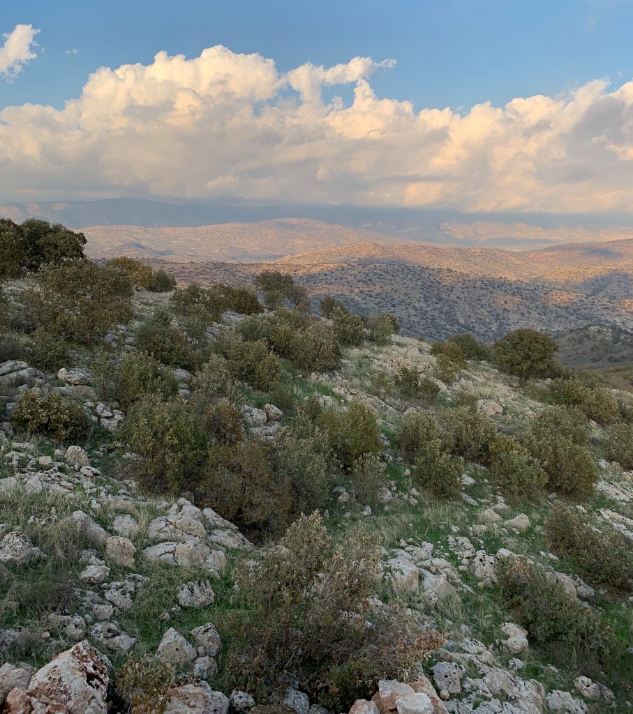 Shaikan Landscape